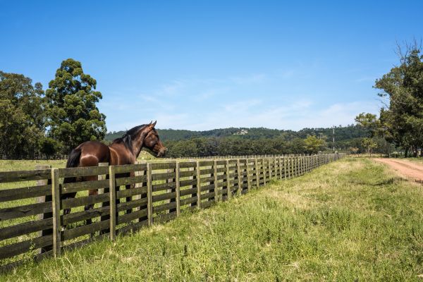 Horse Fence Installation