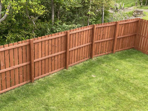 Cedar Fence Renovation
