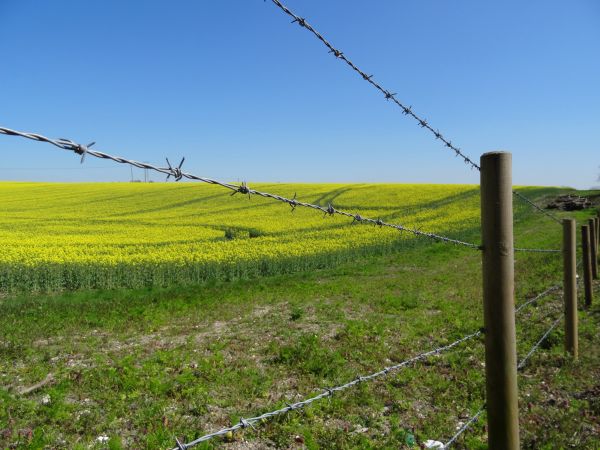 Agricultural Fencing