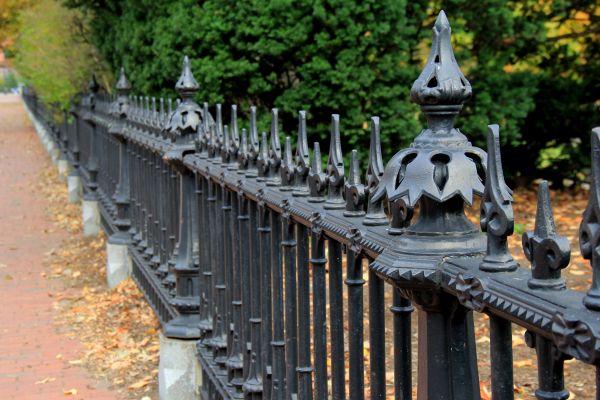 Wrought Iron Fencing